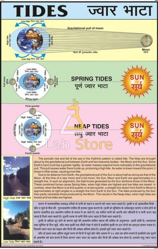 Spring and Neap Tides Chart