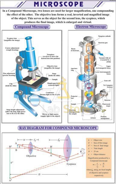 Microscope Chart